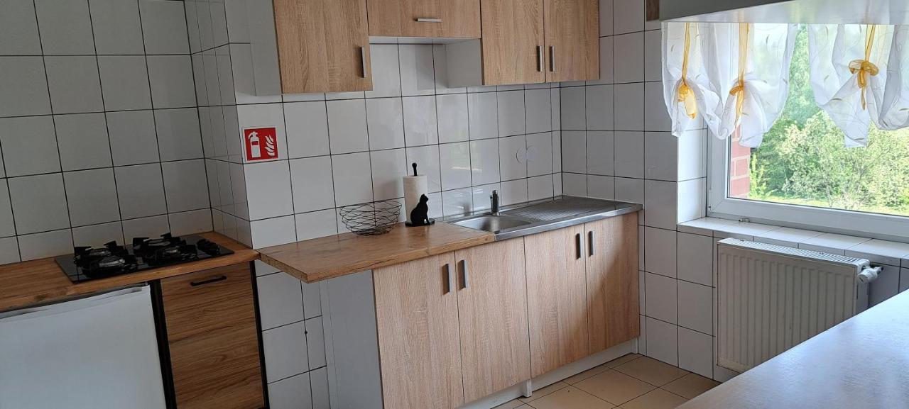 Bed and Breakfast Gorskie Zacisze Боровице Экстерьер фото