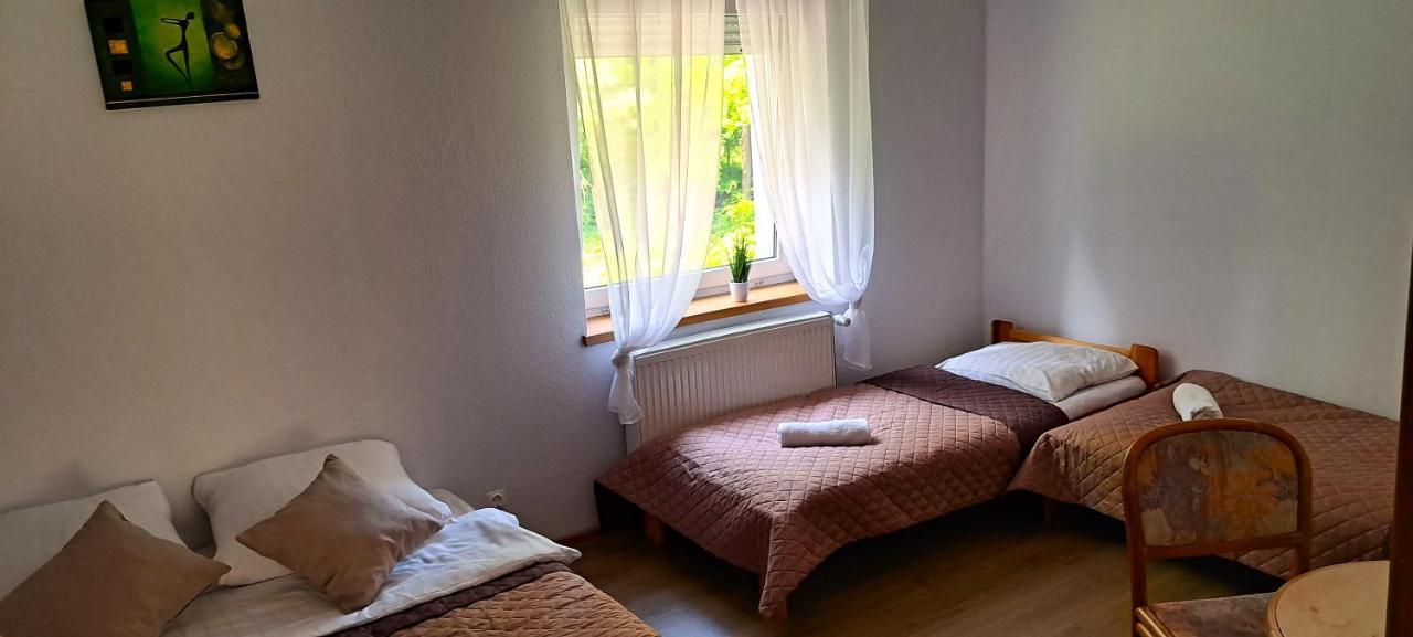 Bed and Breakfast Gorskie Zacisze Боровице Экстерьер фото