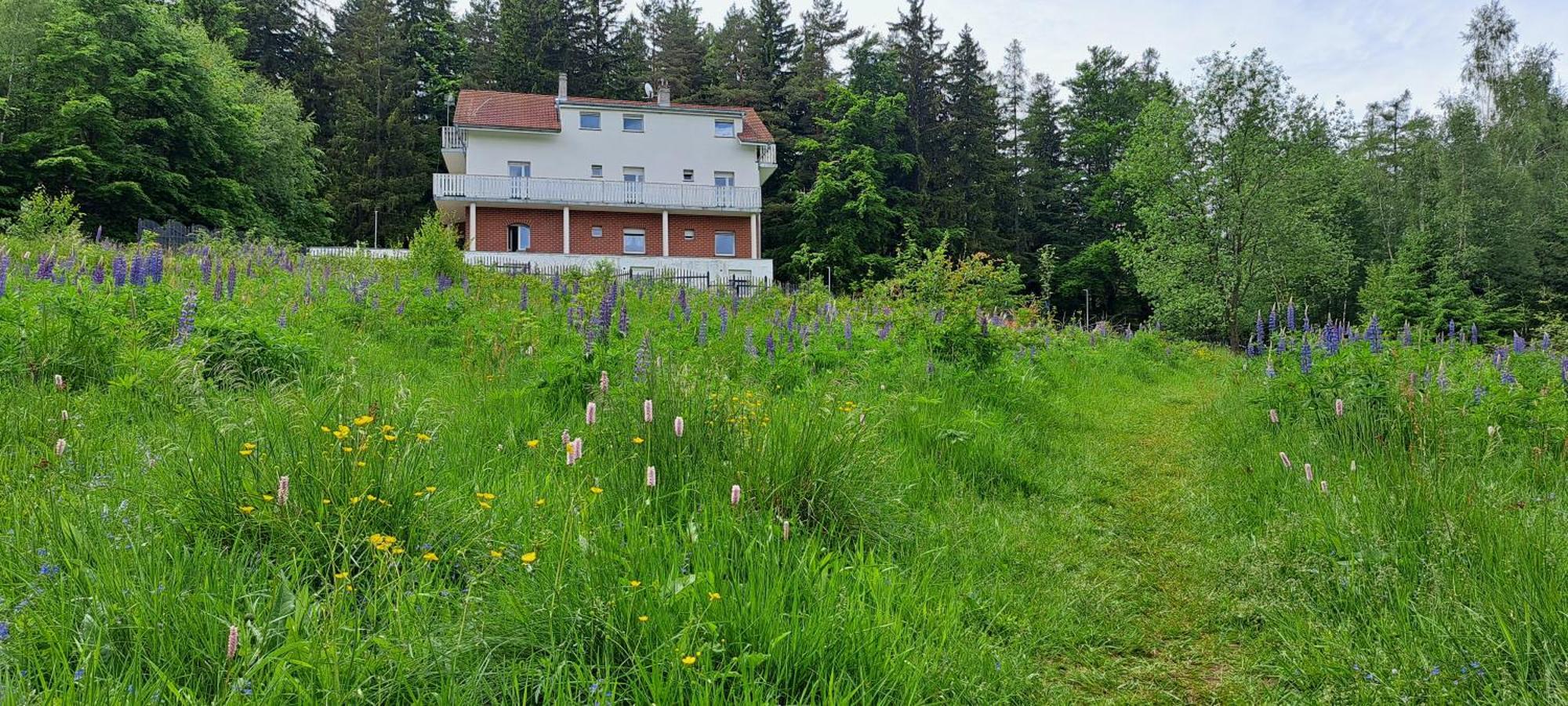 Bed and Breakfast Gorskie Zacisze Боровице Экстерьер фото
