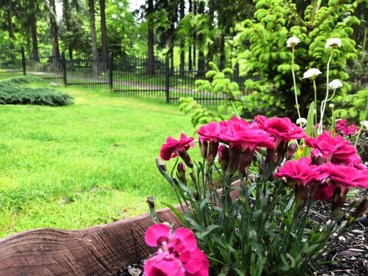 Bed and Breakfast Gorskie Zacisze Боровице Экстерьер фото