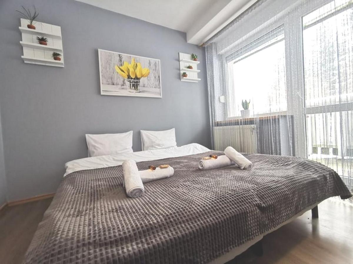 Bed and Breakfast Gorskie Zacisze Боровице Экстерьер фото